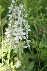 Killikus&reg; Fotographie